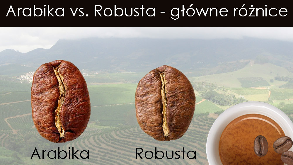 Arabica vs. Robusta – jaka kawa do ekspresu automatycznego?